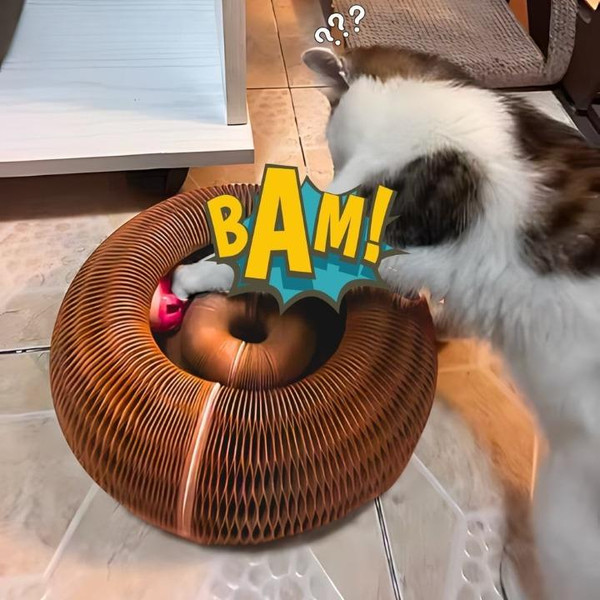 Jouet Pour Chat Intéractif Avec Balle Et Griffoir Jouet Pour Chat Intéractif Avec Balle Et Griffoir zaxx
