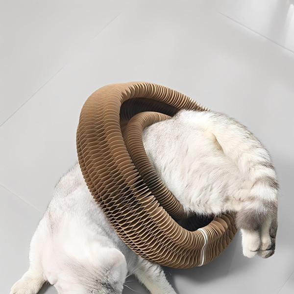 Griffoir Pour Chat 4-En-1 Avec Jouet Intéractif Griffoir Pour Chat 4-En-1 Avec Jouet Intéractif zaxx