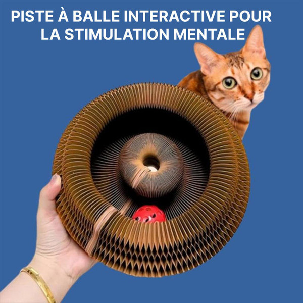 Griffoir Pour Chat 4-En-1 Avec Jouet Intéractif Griffoir Pour Chat 4-En-1 Avec Jouet Intéractif zaxx