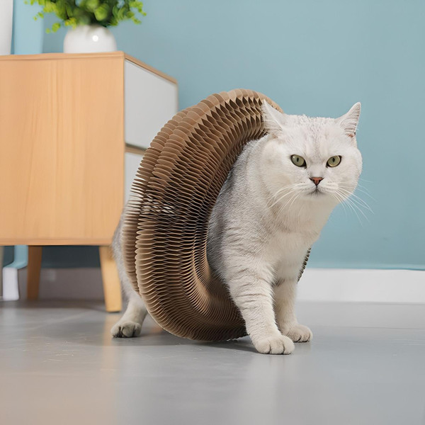 Griffoir Pour Chat 4-En-1 Avec Jouet Intéractif Griffoir Pour Chat 4-En-1 Avec Jouet Intéractif zaxx