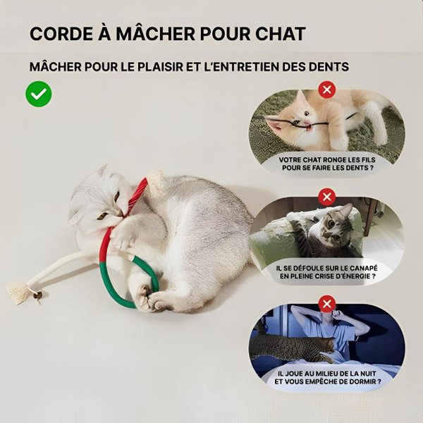 Jouet À Mâcher Pour Chat Avec Hygiène Dentaire Jouet À Mâcher Pour Chat Avec Hygiène Dentaire zaxx
