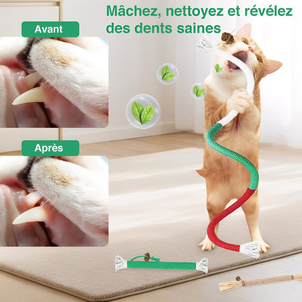 Jouet À Mâcher Pour Chat Avec Hygiène Dentaire Jouet À Mâcher Pour Chat Avec Hygiène Dentaire zaxx