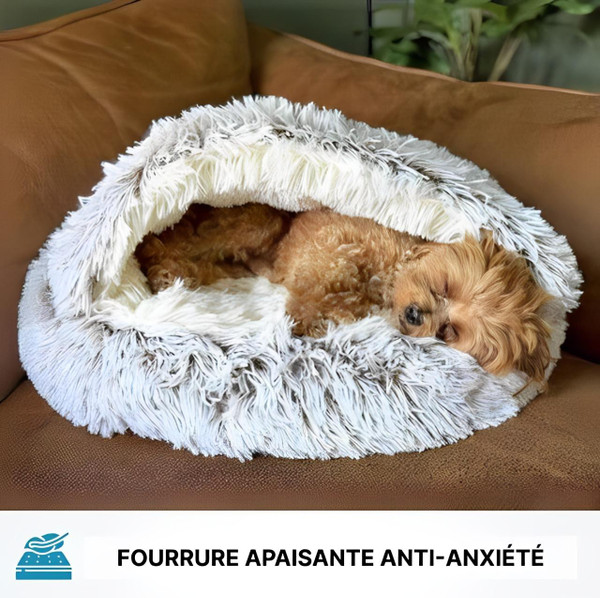Panier Pour Chien et Chat Anti Stress Panier Pour Chien et Chat Anti Stress zaxx