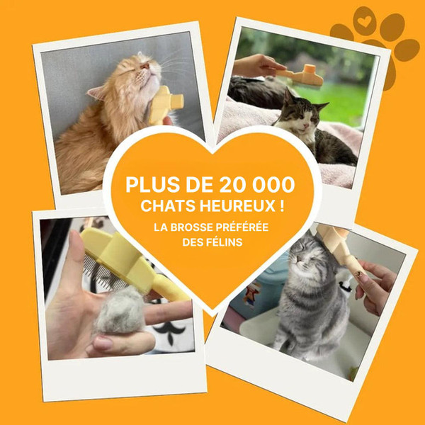 Brosse Pour Chat à Poils Longs - Courts Et Épais Brosse Pour Chat à Poils Longs - Courts Et Épais zaxx