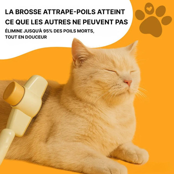 Brosse Pour Chat à Poils Longs - Courts Et Épais Brosse Pour Chat à Poils Longs - Courts Et Épais zaxx