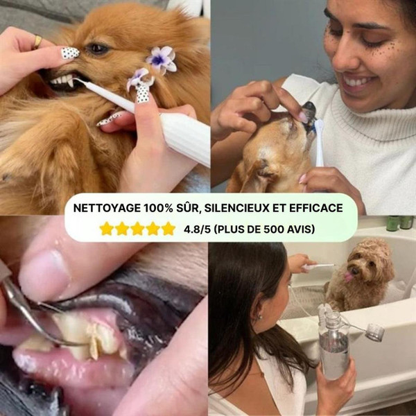 Kit De Nettoyage Dentaire Pour Chien Kit De Nettoyage Dentaire Pour Chien zaxx