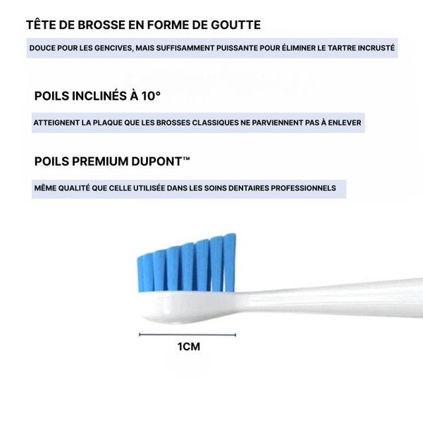 Kit De Nettoyage Dentaire Pour Chien Kit De Nettoyage Dentaire Pour Chien zaxx