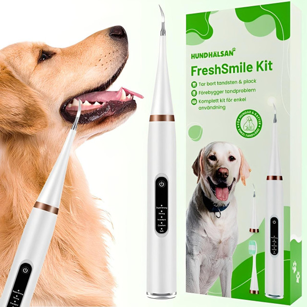 Kit De Nettoyage Dentaire Pour Chien Kit De Nettoyage Dentaire Pour Chien zaxx