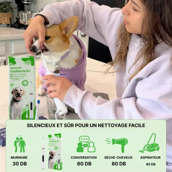 Kit De Nettoyage Dentaire Pour Chien Kit De Nettoyage Dentaire Pour Chien zaxx