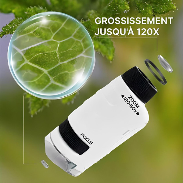 Microscope De Poche Pour Enfant zaxx