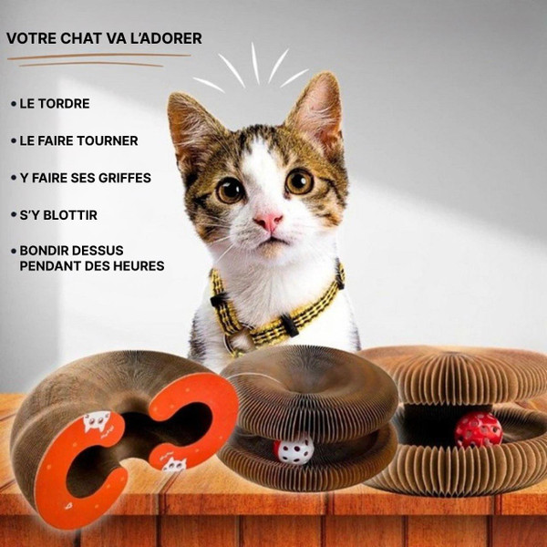 Griffoir Pour Chat Intéractif zaxx