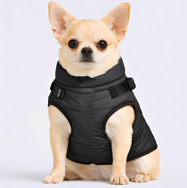 Doudoune Pour Chien Imperméable zaxx