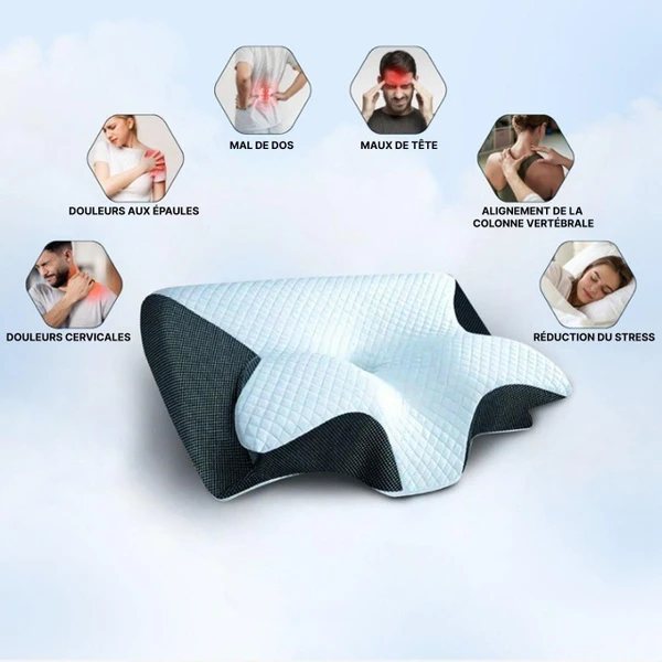 Oreiller Cervical Ergonomique Mémoire De Forme - Soutien Du Cou zaxx