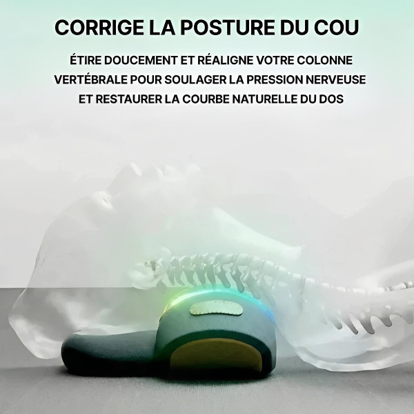 Masseur Cervical Chauffant - Coussin Cervical Massant zaxx