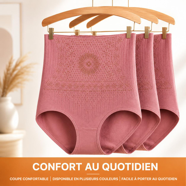 Culotte Gainante Taille Haute - Ventre Plat zaxx
