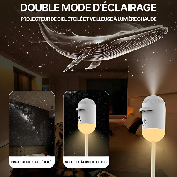 Veilleuse Projecteur De Ciel Étoilé 2-En-1 zaxx