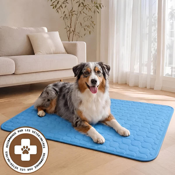Tapis Rafraîchissant Chien - Couverture Fraicheur zaxx