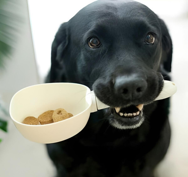 Pelle Alimentaire Numérique Pour Animaux Domestiques (chien et chat) zaxx