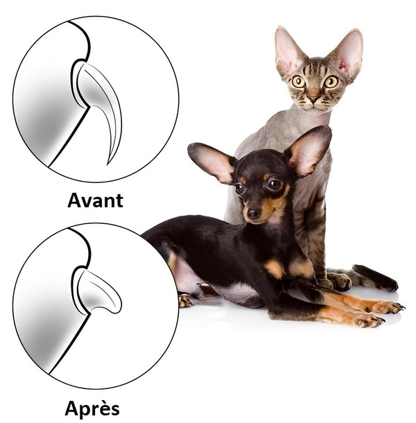 Lime à Ongles Électrique Pour Chien - PetNails™ zaxx
