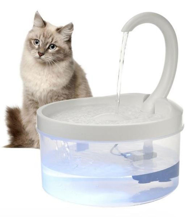 Fontaine a Eau Pour Chat - CatCaire zaxx