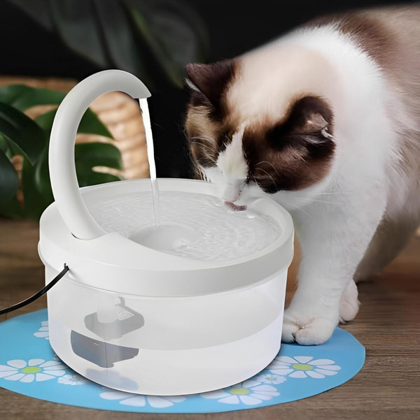 Fontaine à Eau Pour Chat - CatCaire™ zaxx