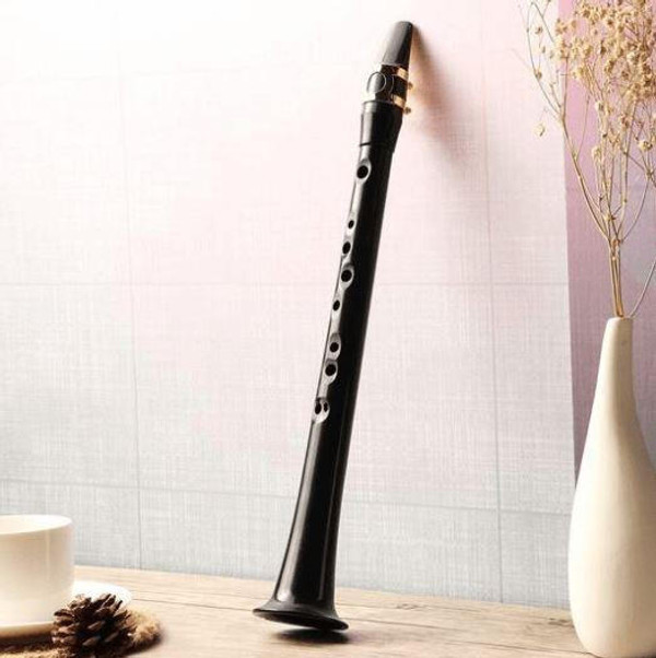 Sax Simple, Saxophone de Poche Portable avec Sac de Roseau, Instrument à  Vent en Bois pour Mini Saxophone