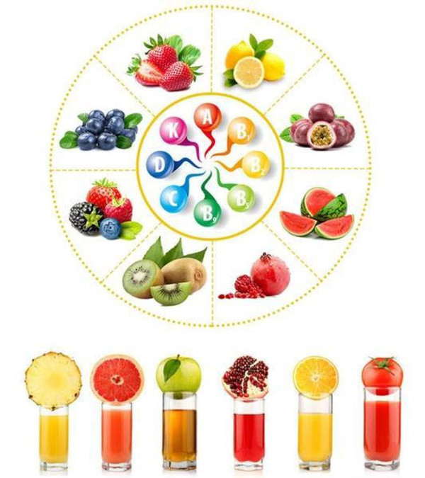 Presse-agrumes de fruits manuel en acier inoxydable Alliage robuste