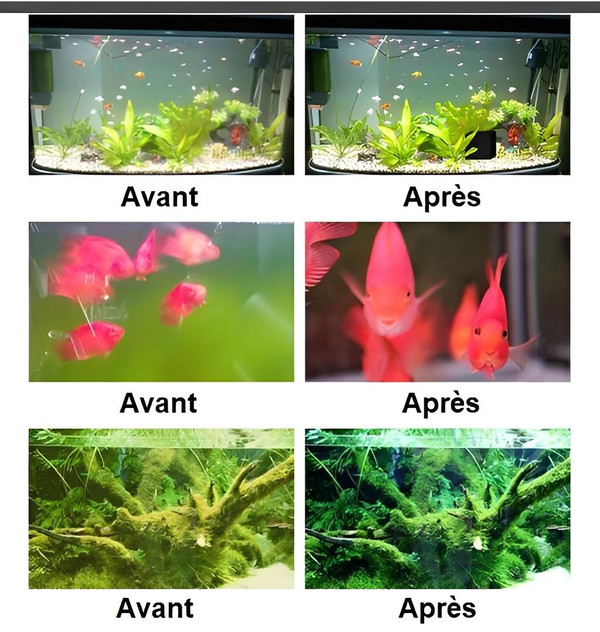 Cube Purificateur d'Eau Eco-Aquarium zaxx