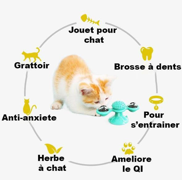 Jouet pour chat GENERIQUE Moulin à vent pour Chat - Jouet chatouiller pour  Animaux de Compagnie- Brosse à Cheveux Chat Jouet Gratter , avec Base à  Ventouse