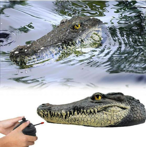 Tete De Crocodile Avec Telecommande zaxx