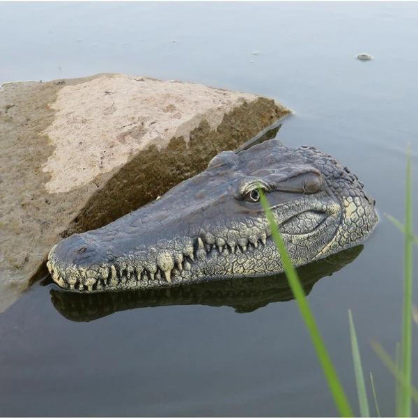 Tete De Crocodile Avec Telecommande zaxx