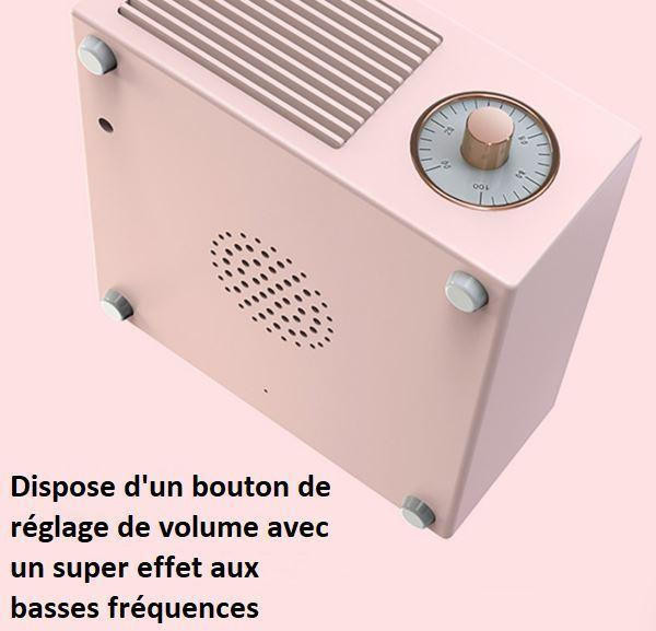 Enceinte Bluetooth Tourne-disque Vintage zaxx