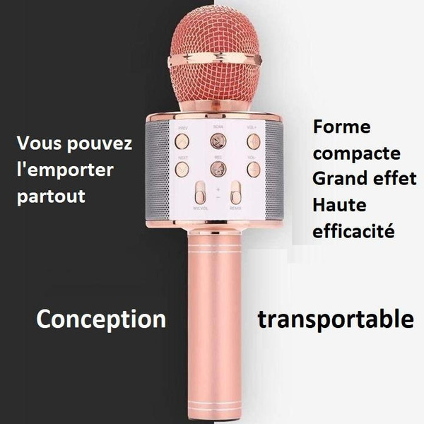 Micro Karaoke Sans Fil - Fonction Bluetooth zaxx