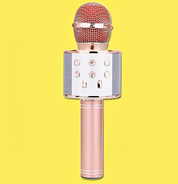 Micro Karaoké Sans Fil - Fonction Bluetooth zaxx