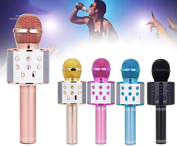 Micro Karaoké Sans Fil - Fonction Bluetooth zaxx