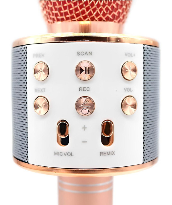 Micro Karaoké Sans Fil - Fonction Bluetooth zaxx