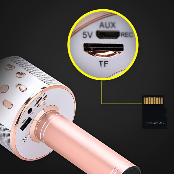 Micro Karaoké Sans Fil - Fonction Bluetooth zaxx