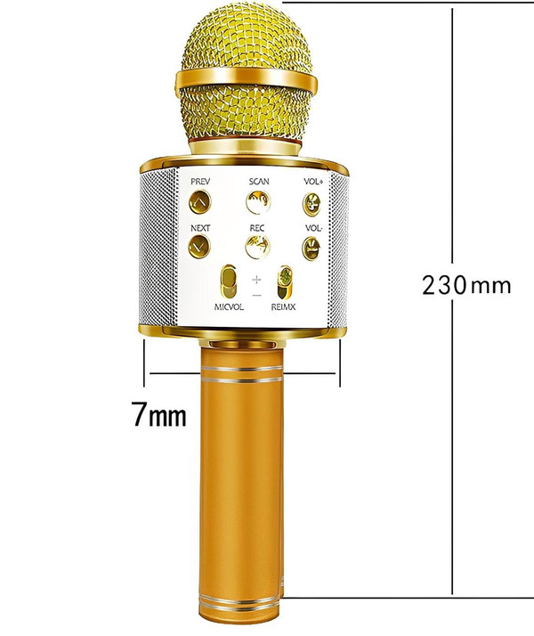 Micro Karaoké Sans Fil - Fonction Bluetooth zaxx