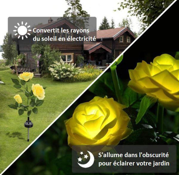 Rose Lumineuse Solaire zaxx