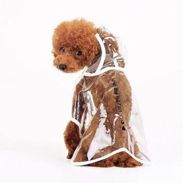 Impermeable Transparent Pour Chien zaxx