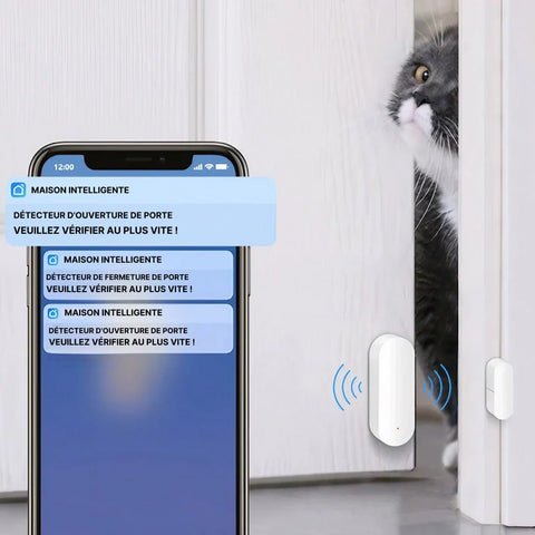 Détecteur d'ouverture connecté pour portes et fenêtres (TriggE) WiFi -  Voltman