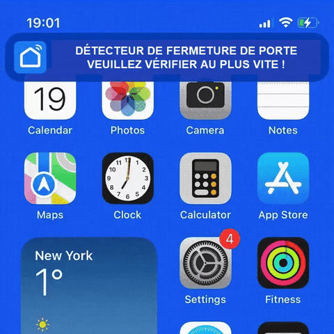 Alarme Détecteur D'ouverture Porte Fenêtre X9 - Sans Fil, Pile, Pour Maison Et Garage