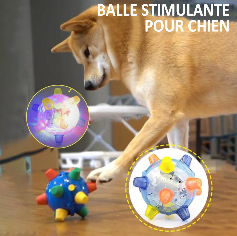 Balle lumineuse pour chien - Balle hérisson clignotante et rebondissante
