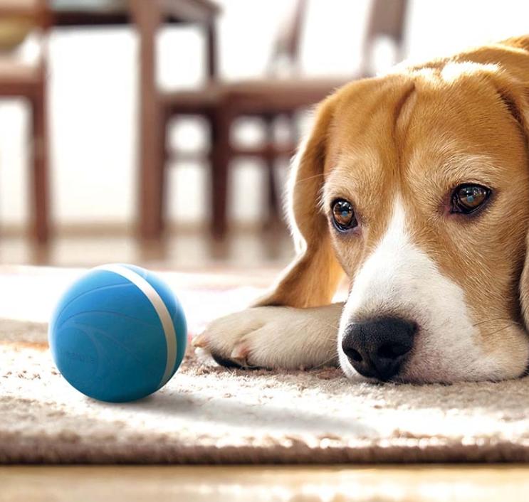 Balle Interactive Pour Chien Et Chat – 3 Pièces, Roule Toute Seule, Stimule Le Jeu Et L’activité - 3