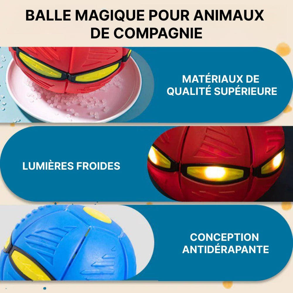 Balle frisbee magique pour chiens - Petits Compagnons