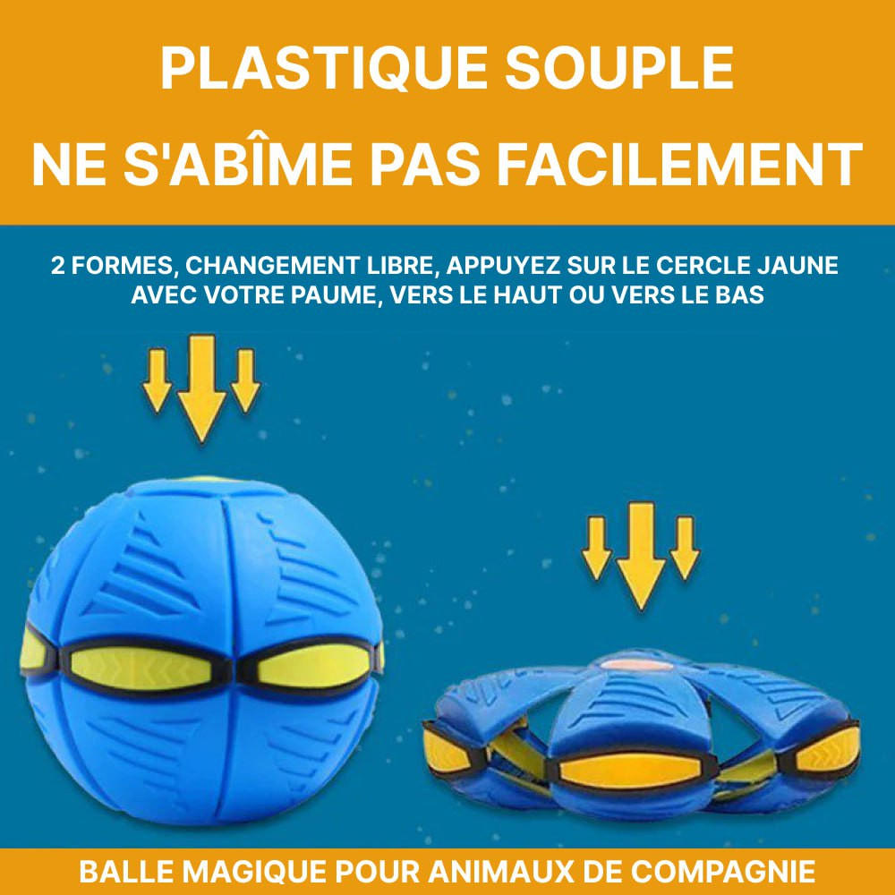 Acheter 2023 Nouveau jouet pour animaux de compagnie soucoupe volante balle  soucoupe volante balle chien jouet pour animaux de compagnie soucoupe  volante soucoupe volante jouet pour chien soucoupe balle pour chiens