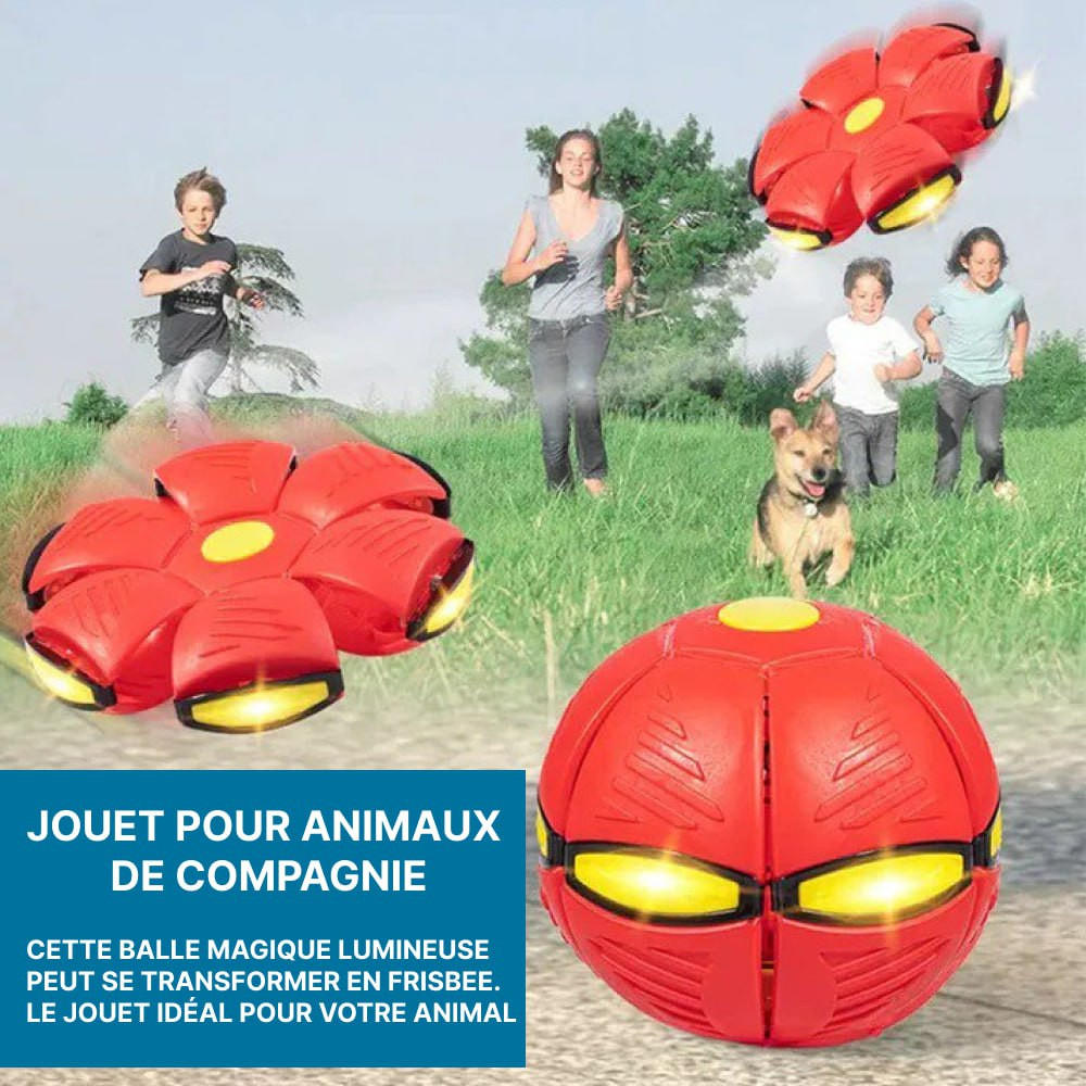 Lot de 4] Jouet pour la Famille et Les Animaux, Balle Volante UFO  Interactive, Combinant Basket-Ball, Ballon de Foot et de Frisbee -  Cdiscount Sport
