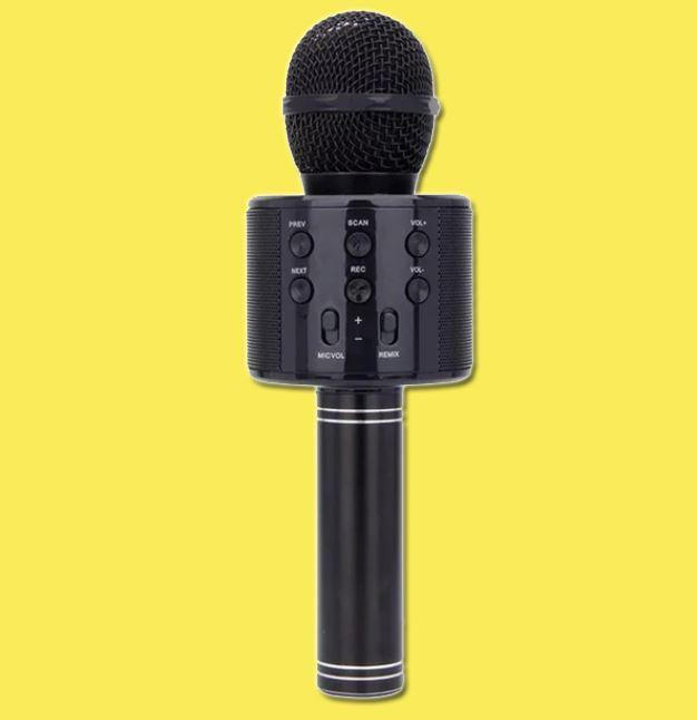 Lot de 2 microphones de karaoké sans fil Bluetooth, 5 en 1