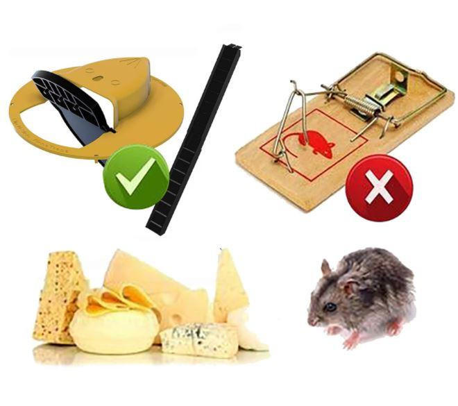 Piège à rats pour le jardin Bricolage piège à rats piège à souris de  planche seau humain attrape-souris