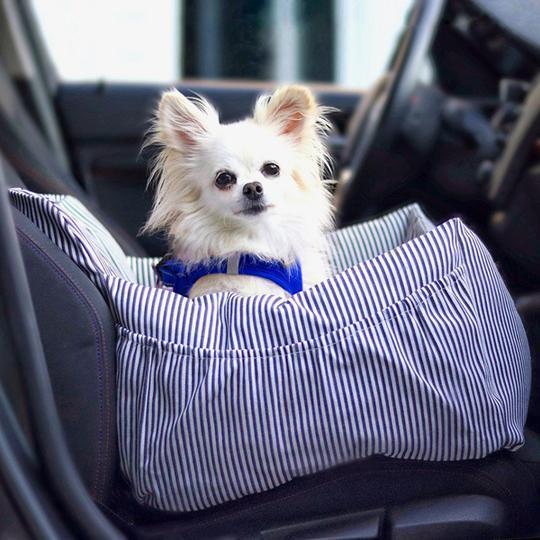 Siège Auto Pour Chien Avec Ceinture De Sécurité - Bleu